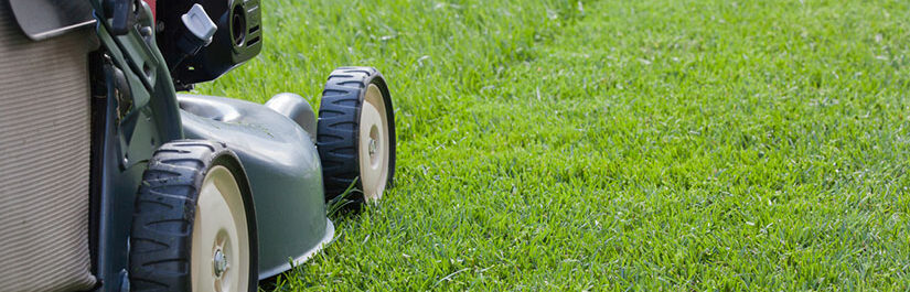 cropped-entretien-jardin-tondeuse.jpg