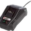 Chargeur Rapide de Batterie Double PDSLG 20 A1 – Image 2
